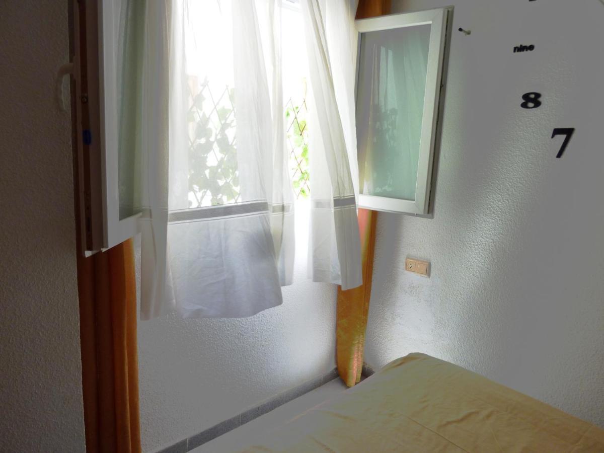 The Cozy Apartment 托雷维耶哈 外观 照片